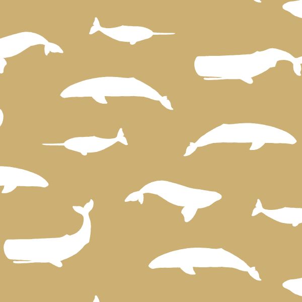 Whale Silhouette in Golden Canyon