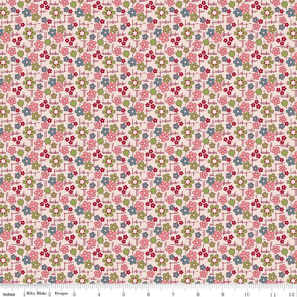 Daisy in Coral