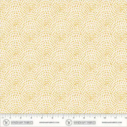 Speckled Scallop in Ivory