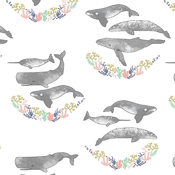 Whale Hello There in Glimmering Shores