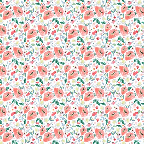 Little Spring Roses in Afternoon