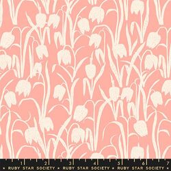 Fritillaria in Pink