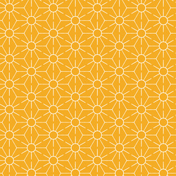 Sunkissed in Golden Rays
