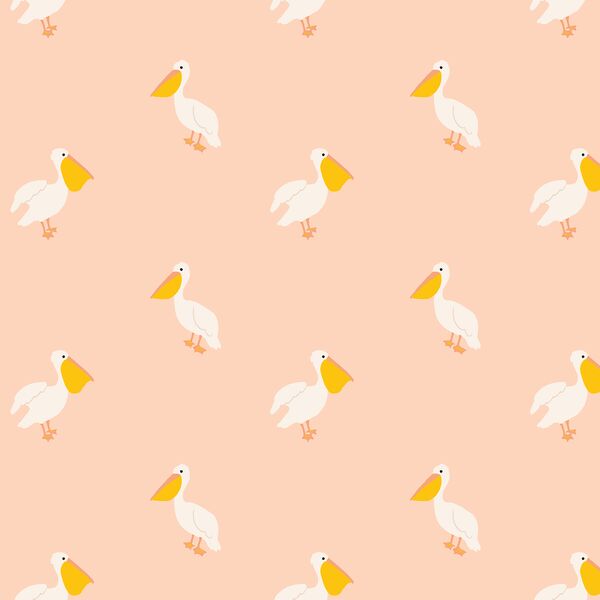 Pelican in Summer Blush