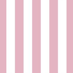Play Stripe in Carnation