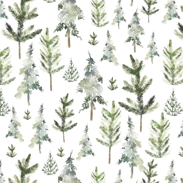 Snowy Forest in Pine