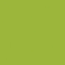 Solid in Light Olive