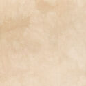 Palette in Almond