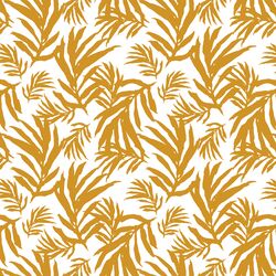 Large Palm Fronds in Golden Sun on White