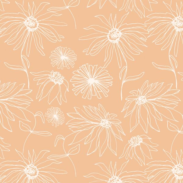 Aster Sketch in Bloom