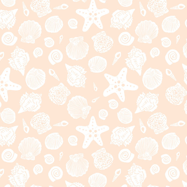 Sea Shells in Sandy