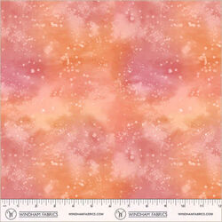 Underwater in Coral