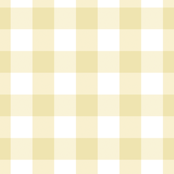 Large Gingham in Sunlight