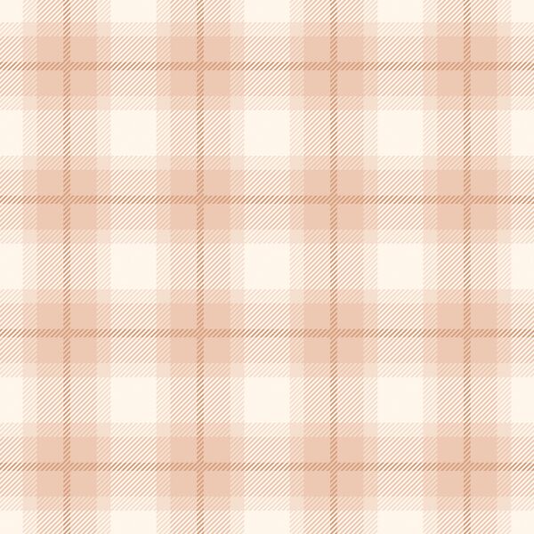 Tidal Plaid in Coral