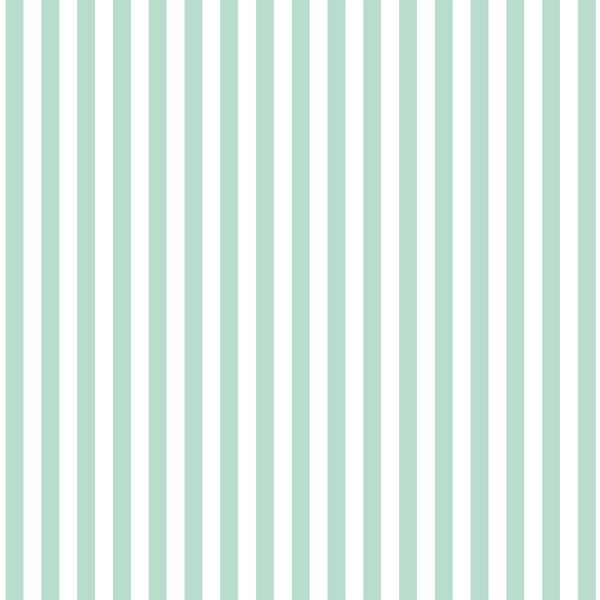 Dress Stripe in Mint