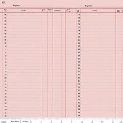 Ledger Paper in Pink