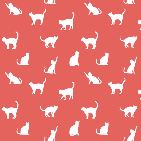 Cat Silhouette in Salmon