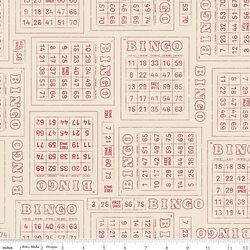 Bingo in Schoolhouse