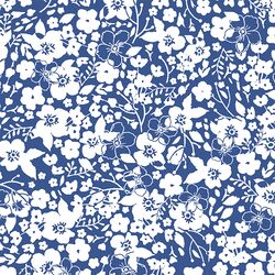 Forget Me Not in Blue Jay
