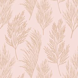 Pampas Grass in Sweet Pink