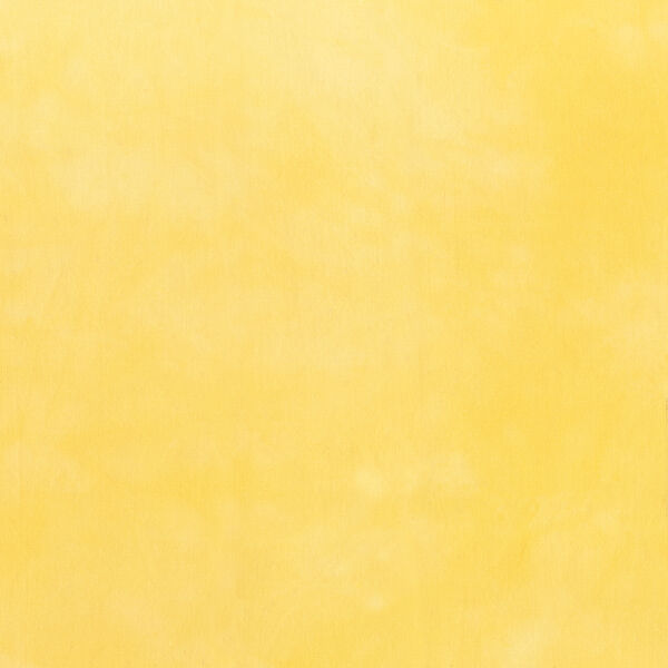 Palette in Little Yellow