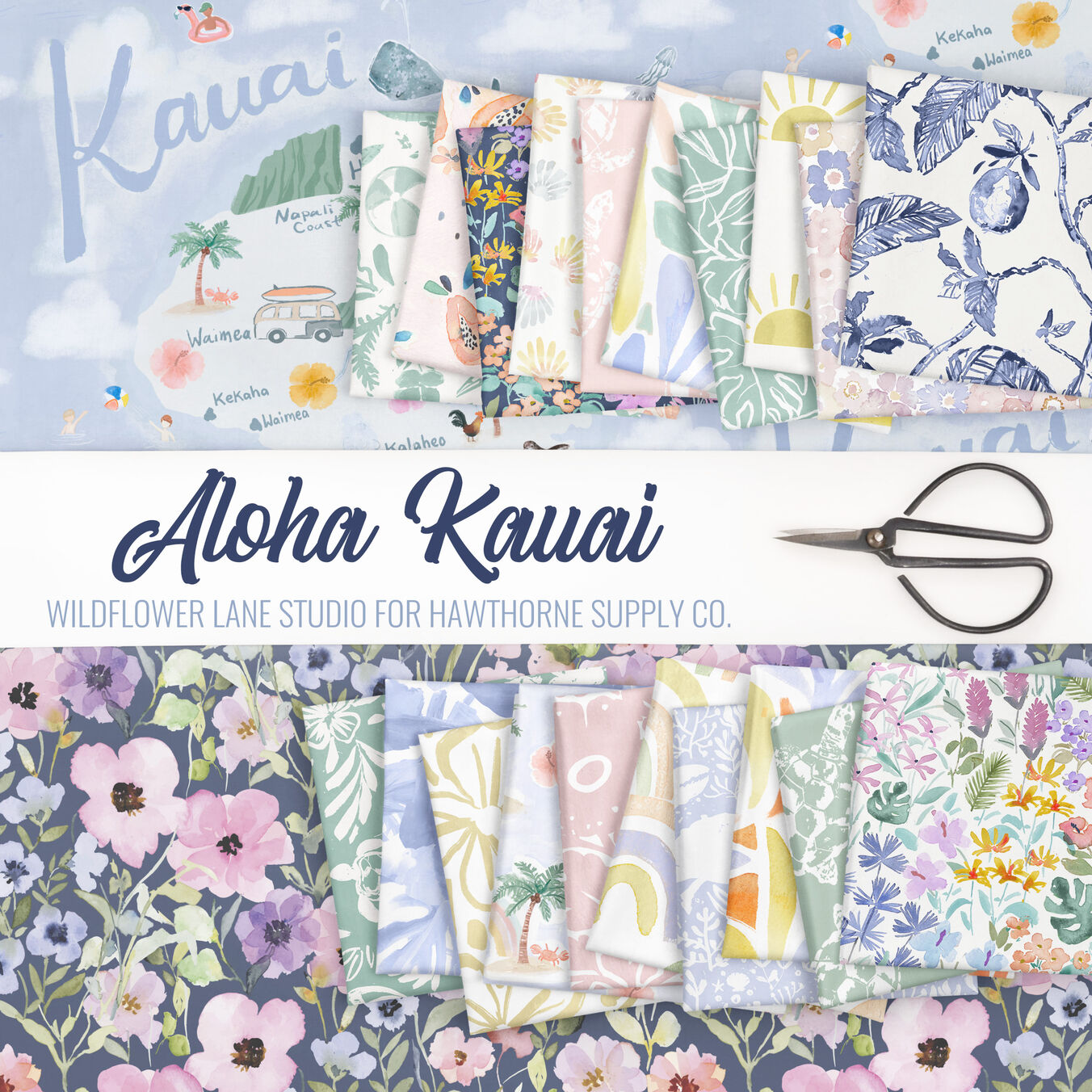 Aloha Kauai Poster Image
