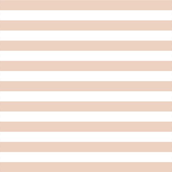 Horizontal Candy Stripe in Shell