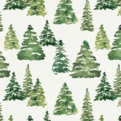 Pine Forest in Snow