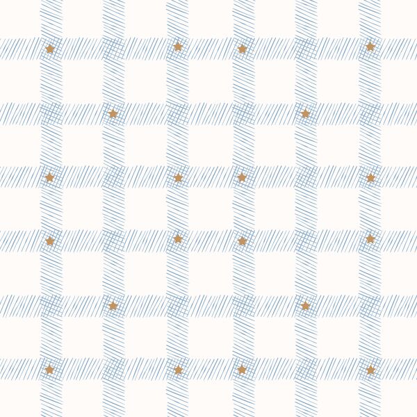 Starry Gingham in Frost Blue