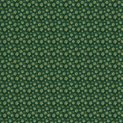 Paw Prints in Forest