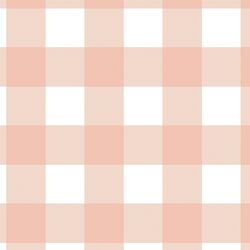 Wild Gingham in Peony Blush