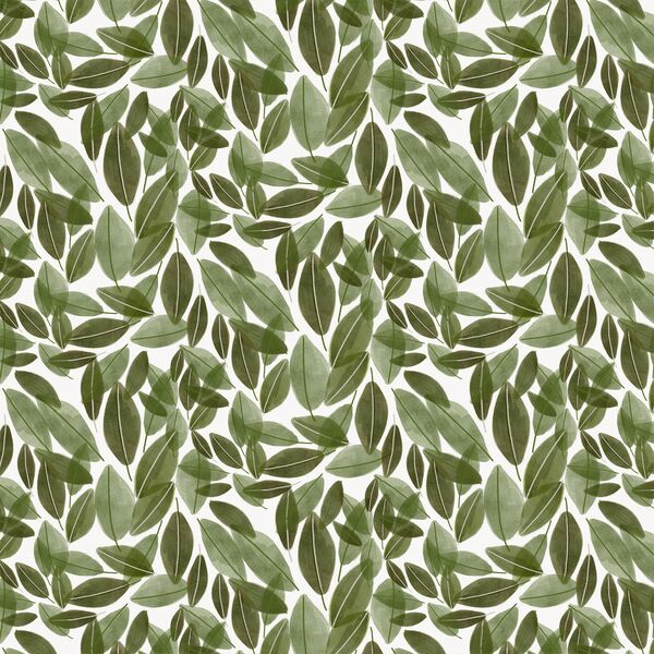 Leaves in Cedar Green