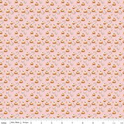 Pumpkin in Blush