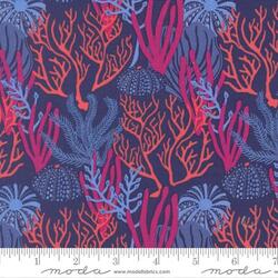 Coral Reef in Dark Blue