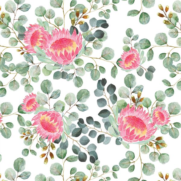 Protea in White