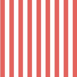 Candy Stripe in Salmon