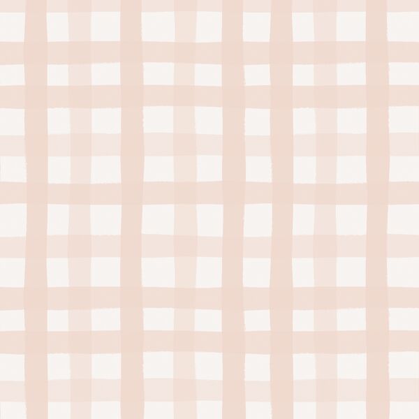 Gingham in Blush