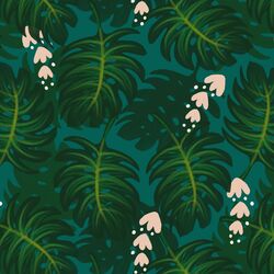 Large Monstera Leaves in Lush