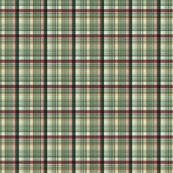 Painted Tartan in Holiday