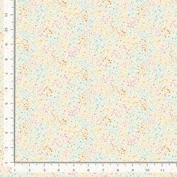 Stardust in Rainbow