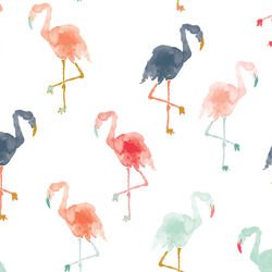 Flamingos in Summer
