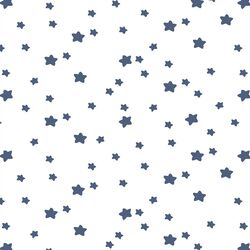 Star Light in Midnight on White