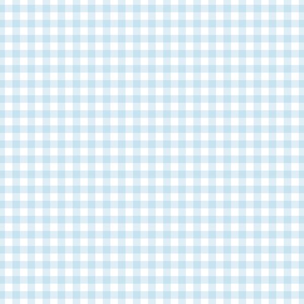 Summer Gingham in Summer Sky