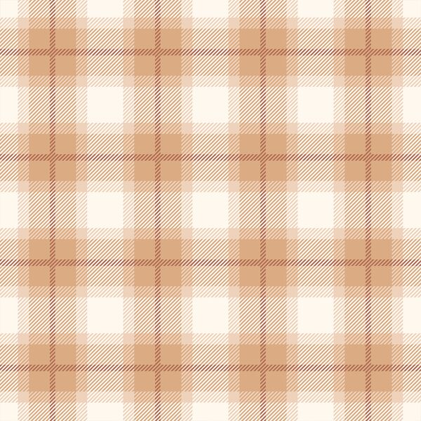 Wild Plaid in Clay