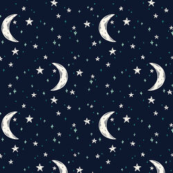 Neon Moon in Night