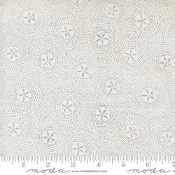 Sand Dollar Ripples in White