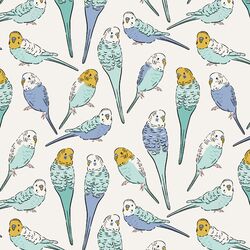 Parakeet Sketches in Sky