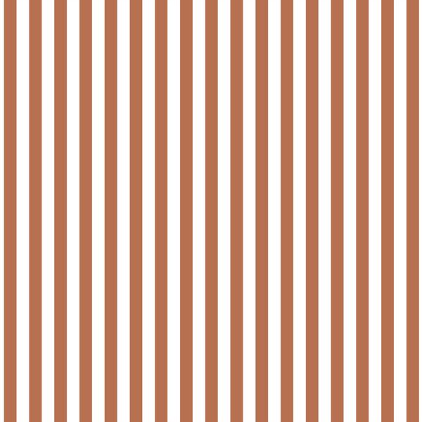 Dress Stripe in Terracotta