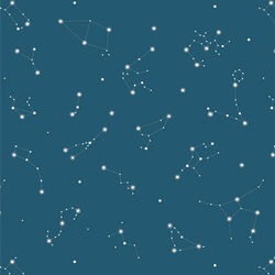 Constellations in Night