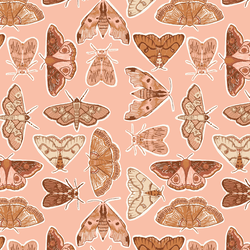 Moth to a Flame in Blossom